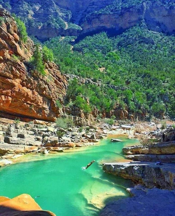 Randonnée et nature