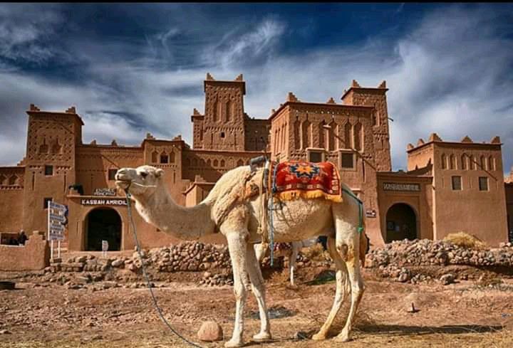Ouarzazate